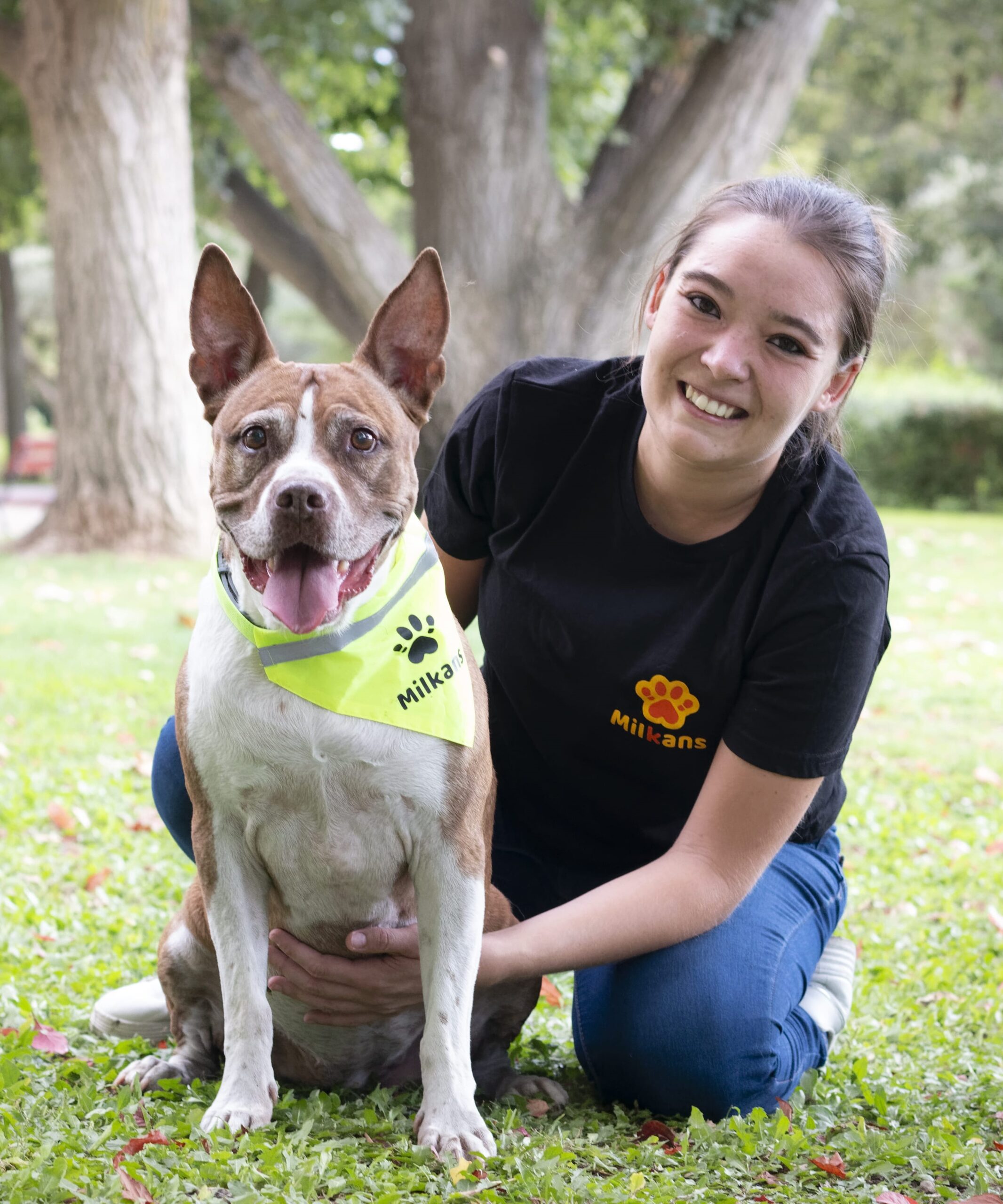 Conócenos más – Intervenciones sociales asistidas con perros y educación  canina